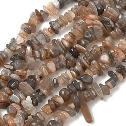 Natural Multi-Moonstone Chip Beads Strands&nbsp;G-B160-A04-01