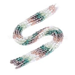 Electroplate Imitation Jade & Opaque & Transparent Glass Beads Strands&nbsp;EGLA-Q135-4x6MM-01D