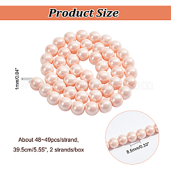 2 Strands Electroplated Shell Pearl Beads Strands&nbsp;PEAR-NB0001-96