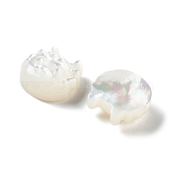 Natural White Shell&nbsp;SHEL-M020-03A