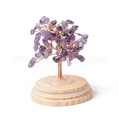 Natural Amethyst Chips Money Tree in Dome Glass Bell Jars with Wood Base Display Decorations&nbsp;DJEW-B007-04G