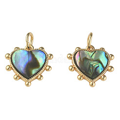 Synthetic Abalone Shell/Paua Shell Charms&nbsp;X-KK-N233-216