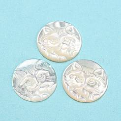 Natural Sea Shell Cabochons&nbsp;SHEL-D079-23