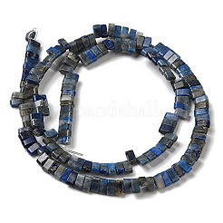 Natural Lapis Lazuli Beads Strands&nbsp;G-Z045-A11-01