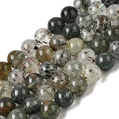 Natural Gemstone Beads Strands&nbsp;G-D359-B02-10mm