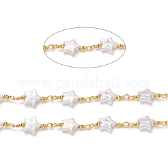 3.28 Feet Handmade Brass CCB Plastic Link Chains&nbsp;X-CHC-I036-57G