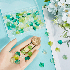 100Pcs Transparent Glass Pendants&nbsp;GLAA-SC0002-45