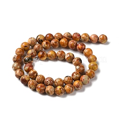 Natural Imperial Jasper Beads Strands&nbsp;G-I122-8mm-M-01