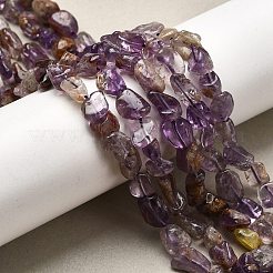 Natural Purple Phantom Quartz Purple Lodolite Quartz Beads Strands&nbsp;X-G-E483-69