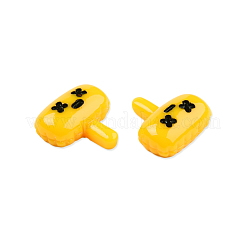 Opaque Resin Pendants&nbsp;CRES-N021-160