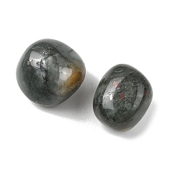 Natural Bloodstone Beads&nbsp;G-G348-01B-35