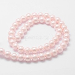 Shell Pearl Bead Strands&nbsp;X-BSHE-L025-06-8mm
