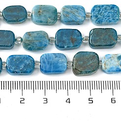 Natural Apatite Beads Strands&nbsp;G-C098-A09-01