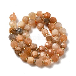 Natural Sunstone Beads Strands&nbsp;G-P508-A21-01
