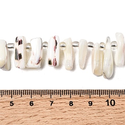 Natural Trochid Shell/Trochus Shell Beads Strands&nbsp;BSHE-A002-03A
