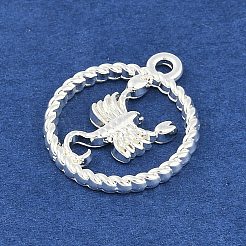 Twelve Constellations Alloy Pendants&nbsp;PALLOY-Q006-01L-S