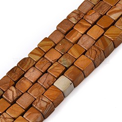 Natural Wood Lace Stone Wooden Jasper Beads Strands&nbsp;G-T139-6x6-03B
