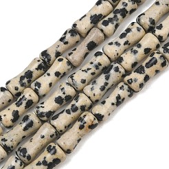 Natural Dalmatian Jasper Beads Strands&nbsp;GG-CBAEB22-A03-01
