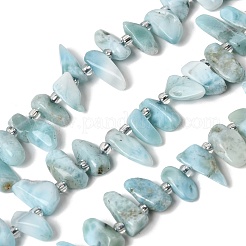 Natural Larimar Beads Strands&nbsp;G-P604-A28-01