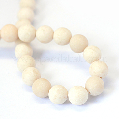 Frosted Natural Fossil Round Bead Strands&nbsp;X-G-E334-4mm-22