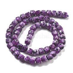 Dyed Natural Sesame Jasper Imitation Charoite Beads Strands&nbsp;G-C179-B03-01