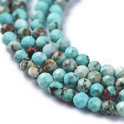 Natural Magnesite Beads Strands&nbsp;TURQ-F017-01A
