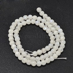 Natural Rainbow Moonstone Beads Strands&nbsp;X-G-P335-12-6mm