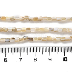 Natural Freshwater Shell Beads Strands&nbsp;X-SSHEL-B002-17