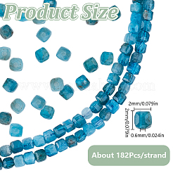 1 Strand Natural Apatite Beads Strands&nbsp;G-GO0001-73