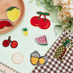 Fruit Computerized Embroidery Cloth Iron on/Sew on Patches&nbsp;DIY-WH0656-32