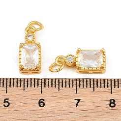 Brass Pave Cubic Zirconia Charms&nbsp;CU-CBA3D67-07G-06