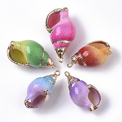 Spray Paint & Electroplate Spiral Shell Pendants&nbsp;X-SHEL-N026-11