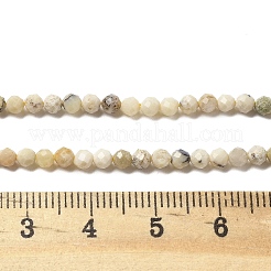 Natural Yellow Opal Beads Strands&nbsp;G-B145-A03-3mm