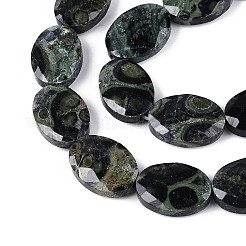 Natural Kambaba Jasper Beads Strands&nbsp;G-S354-13x18-A03