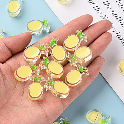 Transparent Enamel Acrylic Beads&nbsp;TACR-S155-002B