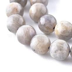 Natural Labradorite Beads Strands&nbsp;X-G-G212-8mm-23