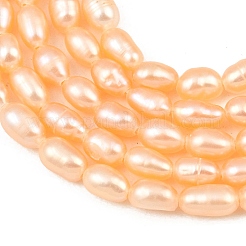Natural Cultured Freshwater Pearl Beads Strands&nbsp;PEAR-F020-26B