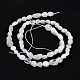 Natural Rainbow Moonstone Beads Strands&nbsp;G-G018-48-2