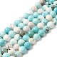 Natural Magnesite Beads Strands&nbsp;G-L555-02C-02-2