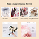 Organza Ribbon&nbsp;RS3mmY001-7