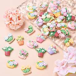 60Pcs 3 Styles Opaque Resin Cabochons&nbsp;RESI-YW0002-02