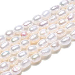Natural Cultured Freshwater Pearl Beads Strands&nbsp;PEAR-N012-02L