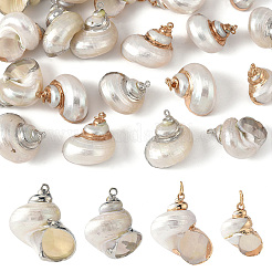 Electroplated Spiral Shell Pendants&nbsp;BSHE-YW0001-07G