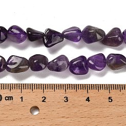 Natural Amethyst Beads Strands&nbsp;X-G-P497-01E-45