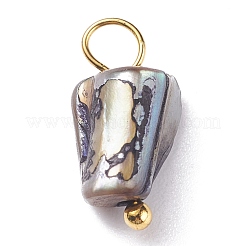 Natural Dyed Shell Charms&nbsp;PALLOY-JF01339-04