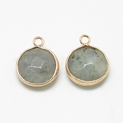 Natural Labradorite Pendants&nbsp;G-Q964-12G