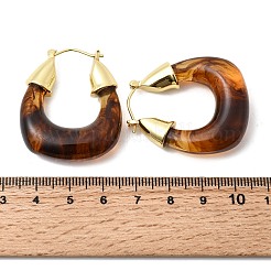 Brass Resin Hoop Earrings&nbsp;EJEW-P333-11D-G02