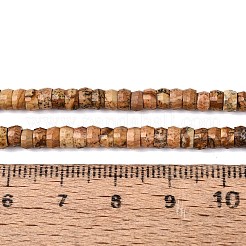 Natural Picture Jasper Beads Strands&nbsp;G-Q606-46A-14
