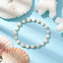 Round Natural Sea Shell Beaded Stretch Bracelets with Brass Beads for Women Men&nbsp;BJEW-JB10278