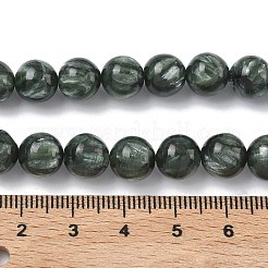 Natural Seraphinite Beads Strands&nbsp;G-C270-O01-07